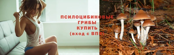 альфа пвп Бородино