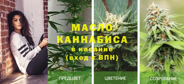 альфа пвп Бородино