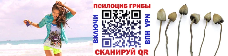 Псилоцибиновые грибы ЛСД продажа наркотиков Нижневартовск